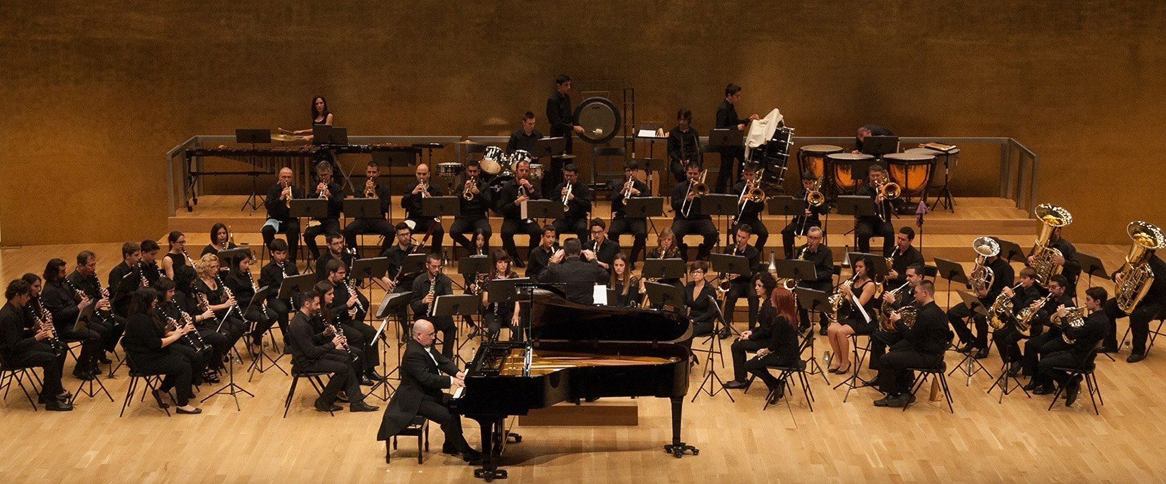 CONCIERTO SOLIDARIO L’HARMONIA 2014