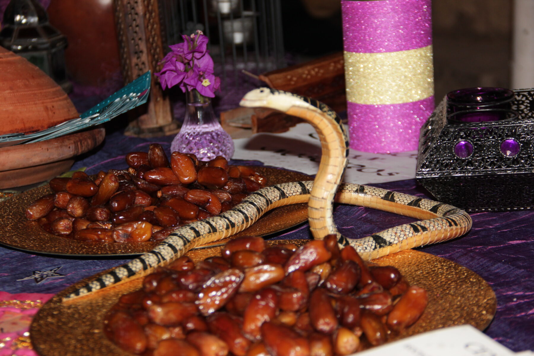 CENA BENÉFICA ADACEA – 26 NOVIEMBRE