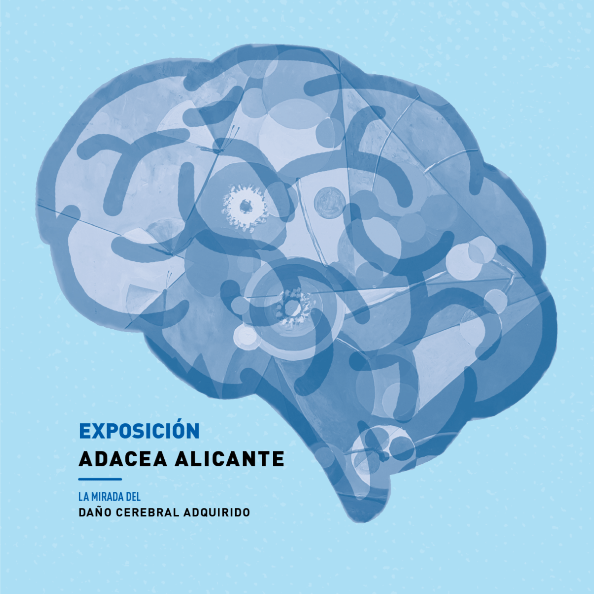 Inauguración de la Exposición “La Mirada del Daño Cerebral Adquirido”