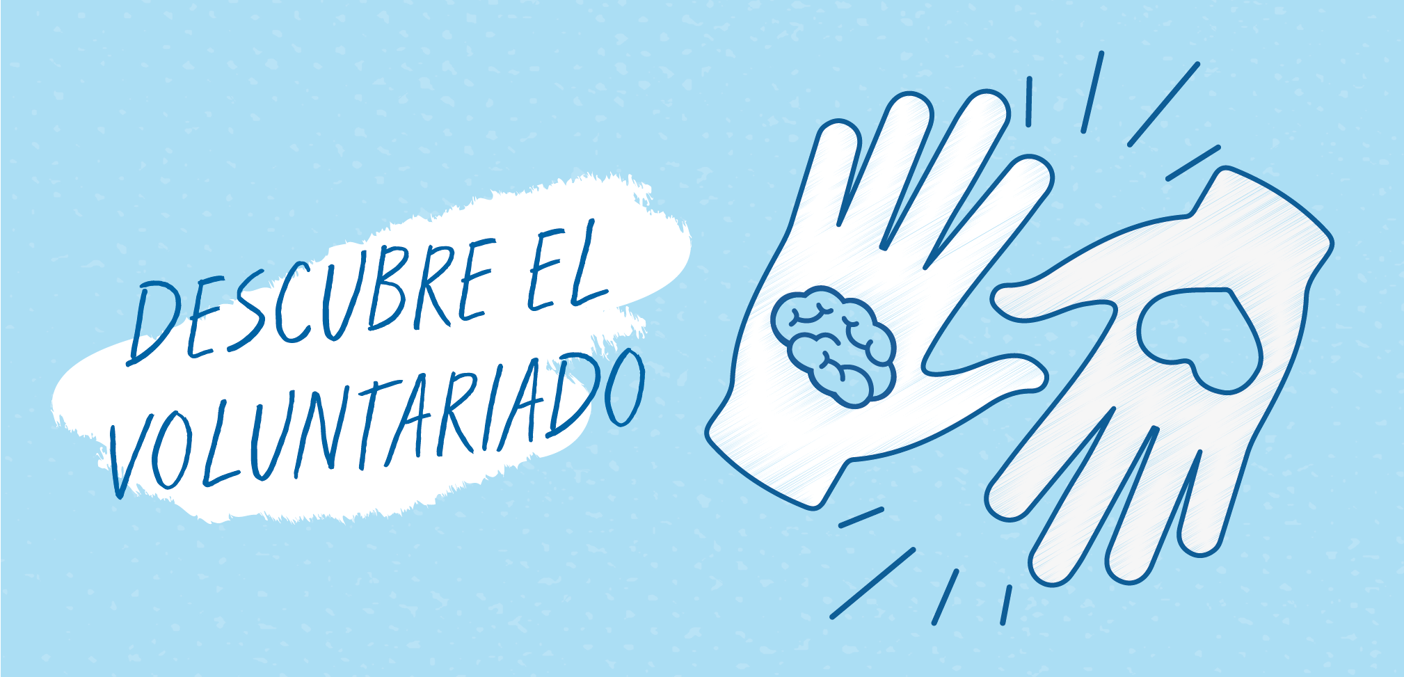 Curso de Voluntariado en DCA de ADACEA Alicante